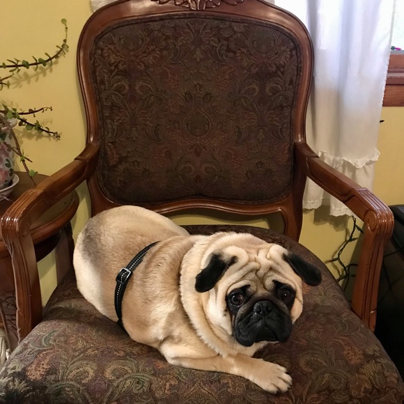 Meet your Posher, Melanie - Picture 12 of 12